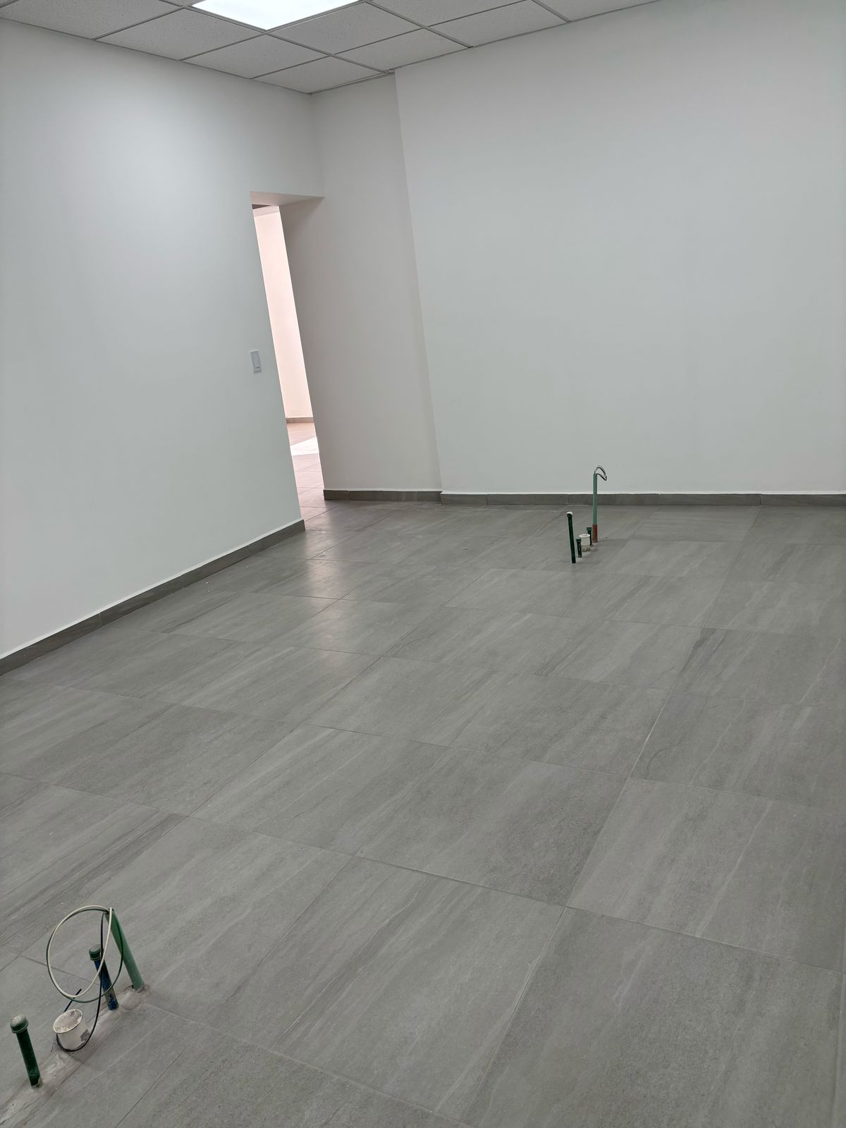 WhatsApp Image 2025-03-31 at 9.08.43 AM (1)